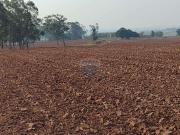 Sítio / Chácara para Venda em Tupã/SP Área Rural de Tupã