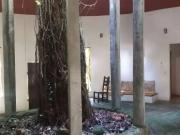 Sítio / Chácara para Venda em Ubatuba/SP Horto Florestal...