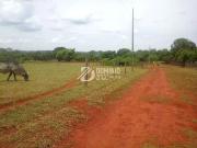 Sítio / Chácara para Venda em Uberaba/MG Distrito...