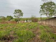 Sítio / Chácara para Venda em Uberaba/MG Recanto das Flores