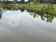 Sítio / Chácara para Venda em Uberlândia/MG Área Rural...