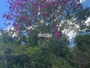 Sítio / Chácara para Venda em Uberlândia/MG Área Rural...