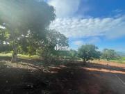 Sítio / Chácara para Venda em Uberlândia/MG Área Rural...