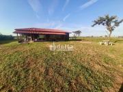 Sítio / Chácara para Venda em Uberlândia/MG Área Rural...