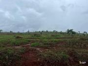 Sítio / Chácara para Venda em Uberlândia/MG Área Rural...