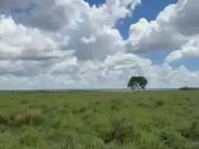 Sítio / Chácara para Venda em Uberlândia/MG Área Rural...