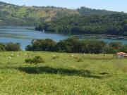 Sítio / Chácara para Venda em Uberlândia/MG Área Rural...