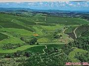 Sítio / Chácara para Venda em Uberlândia/MG Centro Sítio / Chácara para Venda em Uberlândia/MG Centro