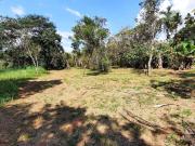 Sítio / Chácara para Venda em Uberlândia/MG Chácaras...