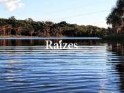 Sítio / Chácara para Venda em Uberlândia/MG Chácaras...