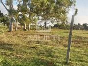 Sítio / Chácara para Venda em Uberlândia/MG Chácaras...