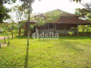 Sítio / Chácara para Venda em Uberlândia/MG Morada Nova