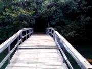 Sítio / Chácara para Venda em Uberlândia/MG Represa de...