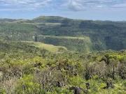 Sítio / Chácara para Venda em Urubici/SC Zona Rural