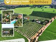 Sítio / Chácara para Venda em Urupês/SP Centro 8 Quartos