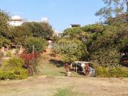 Sítio / Chácara para Venda em Valinhos/SP Chácara das...