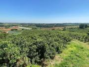 Sítio / Chácara para Venda em Valinhos/SP Reforma...