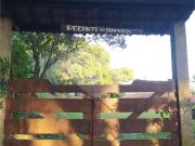 Sítio / Chácara para Venda em Vargem/SP Centro 4 Quartos