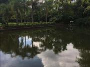 Sítio / Chácara para Venda em Várzea Paulista/SP Sítio...