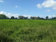 Sítio / Chácara para Venda em Vera Cruz/RN Centro 3 Quartos