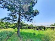 Sítio / Chácara para Venda em Viamão/RS Águas Claras