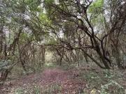 Sítio / Chácara para Venda em Viamão/RS Águas Claras