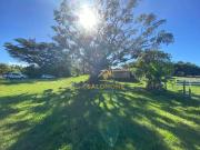 Sítio / Chácara para Venda em Viamão/RS Águas Claras 2...