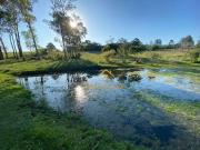 Sítio / Chácara para Venda em Viamão/RS Águas Claras 3...