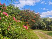 Sítio / Chácara para Venda em Viamão/RS Águas Claras 7...