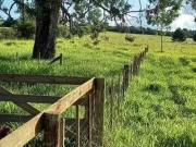 Sítio / Chácara para Venda em Viamão/RS Águas Claras