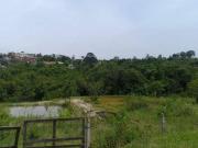 Sítio / Chácara para Venda em Viamão/RS Estância Grande...