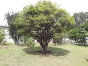 Sítio / Chácara para Venda em Vinhedo/SP Área Rural de...