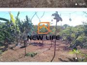 Sitio, Chácaras Aroeira Próximo a Tapuirama, Tapuirama, MG