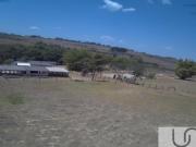 Sítio com 28 hectares em Brazlândia