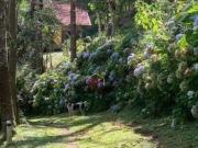 Sítio com 2 dormitórios à venda, 42000 m² por R$...