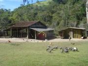 Sítio com 3 dormitórios à venda, 220000 m² por R$...