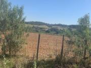 SÍTIO COM 3 DORMITÓRIOS À VENDA, 280000 M² POR R$...