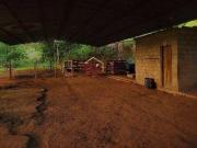 Sítio com 3 dormitórios à venda, 290000 m² por R$...