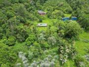 Sítio com 3 dormitórios à venda, 29000 m² por R$...