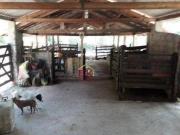 Sítio com 3 dormitórios à venda, 306130 m² por R$...