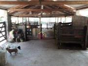 Sítio com 3 dormitórios à venda, 306130 m² por R$...