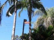 Sítio com 3 dormitórios à venda, 50000 m² por R$...