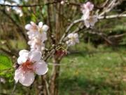 Sítio com 3 dormitórios à venda, 72000 m² por R$...