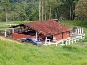 Sítio com 3 dormitórios à venda, 726000 m² por R$... Sítio com 3 dormitórios à venda, 726000 m² por R$...