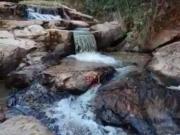 Sítio com 4 dormitórios à venda, 42000 m² por R$...