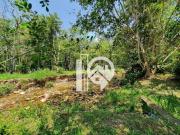 Sítio com 5 dormitórios à venda, 22000 m² Ribeirão...