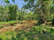 Sítio com 5 dormitórios à venda, 22000 m² Ribeirão...