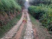 Sítio com 5 dormitórios à venda, 61873 m² por R$...