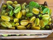 Sítio com 6 dormitórios à venda, 23000 m² por R$...