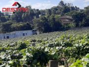 Sítio com 72.164,00m² a Venda no bairro Traviú em Jundiaí/SP